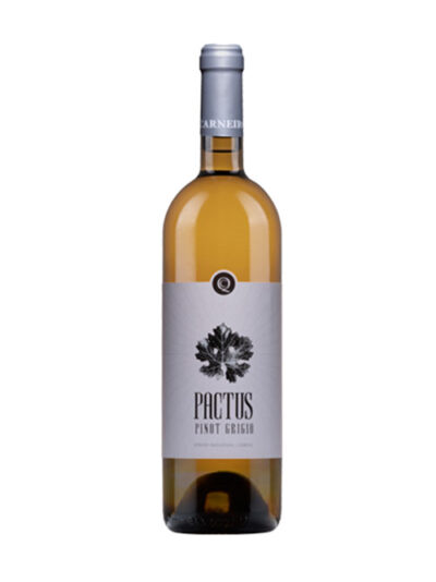 Pactus Pinot Grigio White Reserva 2020